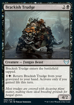 Brackish Trudge